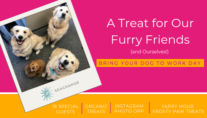 A Treat for Our Furry Friends