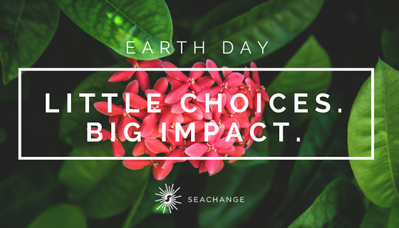 EARTH DAY_Blog